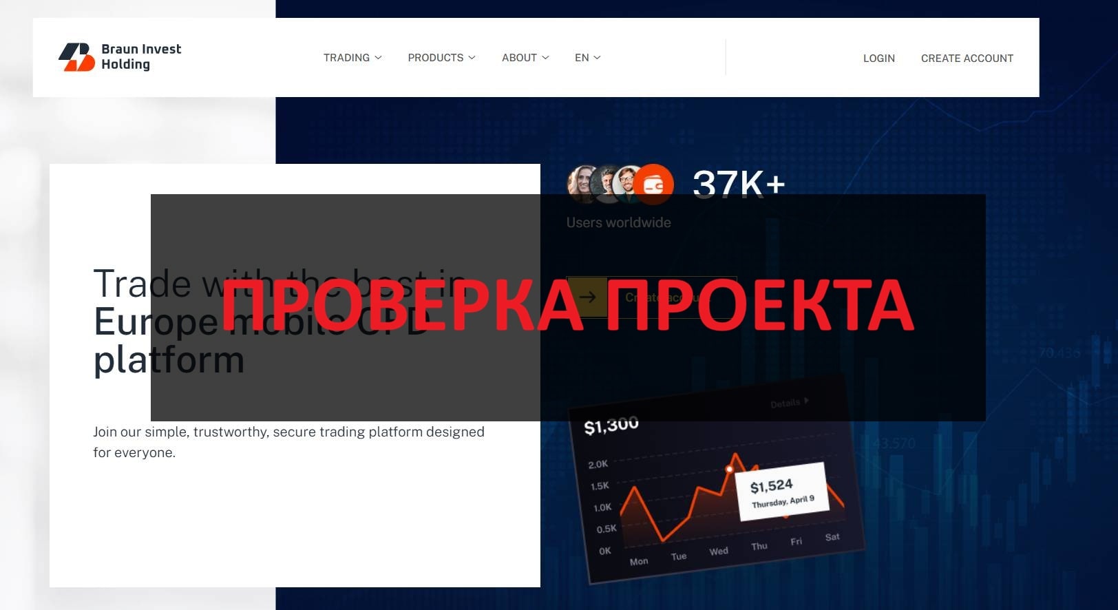 Braun Invest Holding - реальные отзывы и обзор