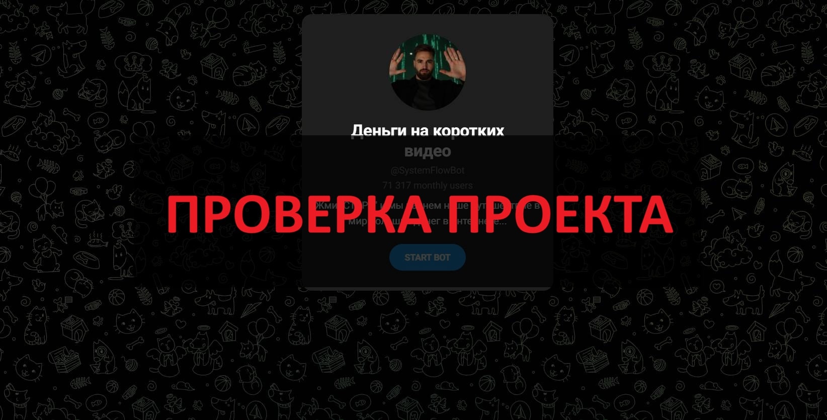 Деньги на коротких видео - отзывы о телеграмм боте