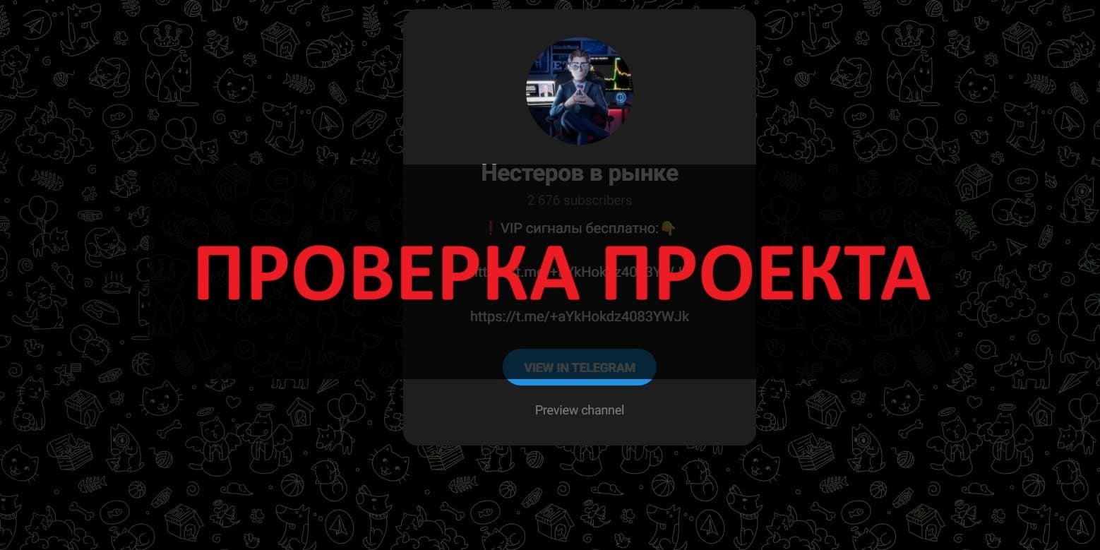 елеграмм канал Нестеров в рынке - честные отзывы