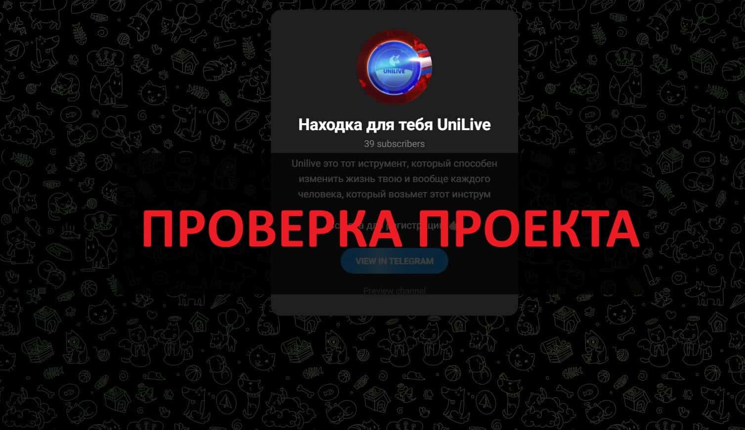 UniLive - отзывы: социальная сеть или скам