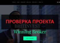 Britinvest — реальные отзывы о инвестициях в britinvest.com
