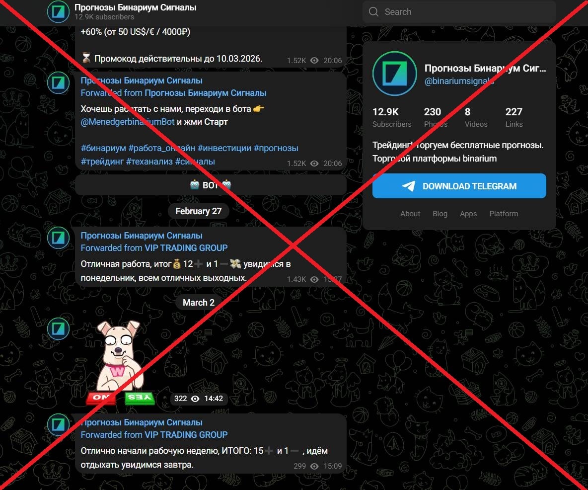 Прогнозы Бинариум Сигналы обман