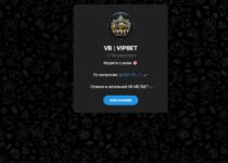 Канал VB VIPBET — работает честно? Отзывы и обзор