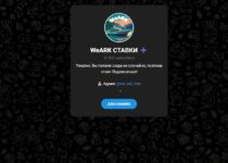 Канал WeARK СТАВКИ – отзывы, развод или законный бизнес? Полное расследование